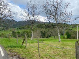 Terreno residencial  Bada. Venta de terreno edificable en bada, a 5min de cangas de onís