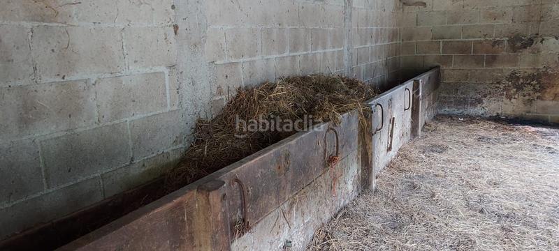 Foto 6fbe54a2-7bc0-4605-a0f6-88f5476eefe6. House in Ponga