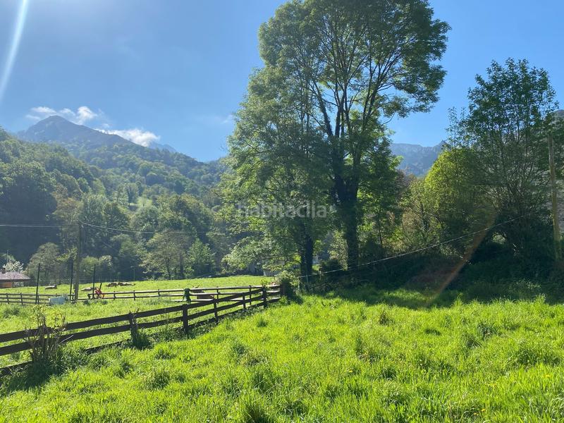 Foto a79a5d91-d6b8-4dd3-9d61-bd90c55fed8f. House in Ponga