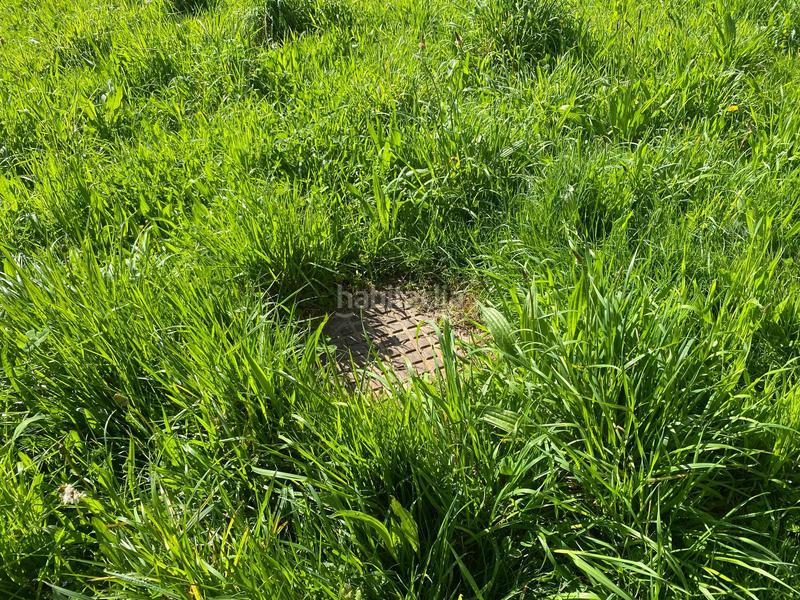 Foto ed042e5d-2c29-43d0-8c84-5f1aeff2dd70. House in Ponga