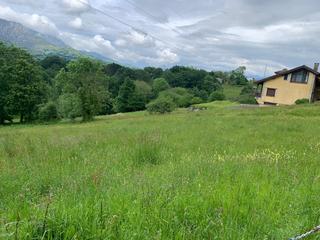 Terreny residencial a Piloña. Parcela edificable a tan solo 2 km de villamayor