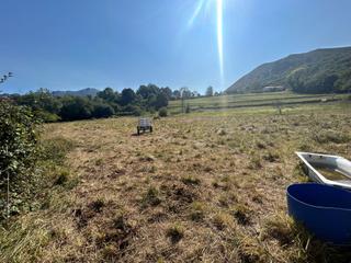 Residential Plot in Cangas de Onís. Finca edificable entre arriondas y ribadesella