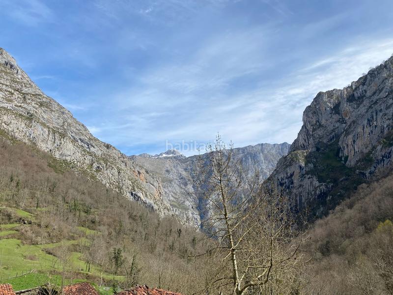 Foto e32fad18-faee-4f6a-80ee-aa9a451fb887. Casa a Ponga