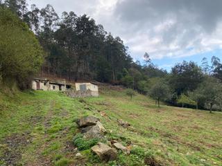 Casa  Linares. Casa en ruinas en finca rústica  de 9.800 m2