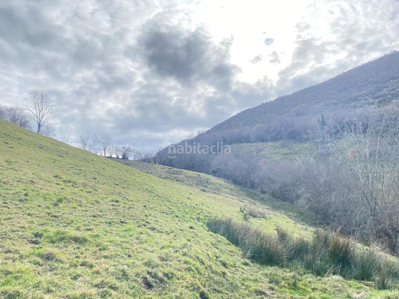 Foto 02a9f9e1-278b-4d72-8b4d-fb1b67cd4e3e. Finca rústica  con cuadra de piedra en Onís