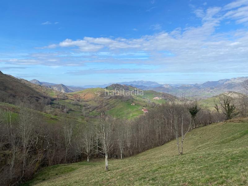 Foto 03d3cc30-cc18-4df4-847f-6599b00d7784. Finca rústica  con cuadra de piedra en Onís