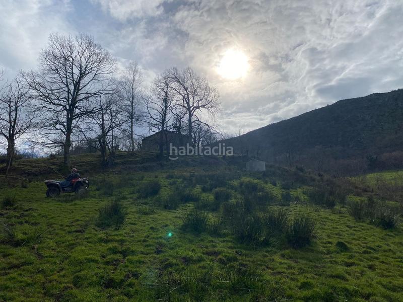 Foto 3df64e9d-b93d-4c55-8128-ff67cf62251d. Finca rústica  con cuadra de piedra en Onís