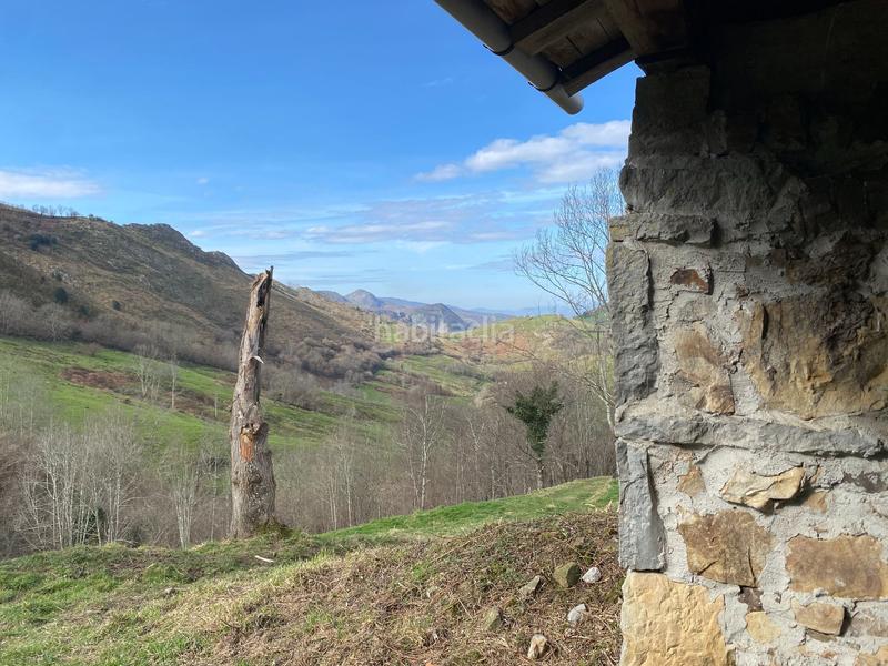 Foto 6737ef9f-1b0e-4416-8ed8-b1f3c13ea748. Finca rústica  con cuadra de piedra en Onís