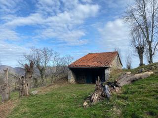 Rural plot in Onís. Finca rústica con cuadra de piedra