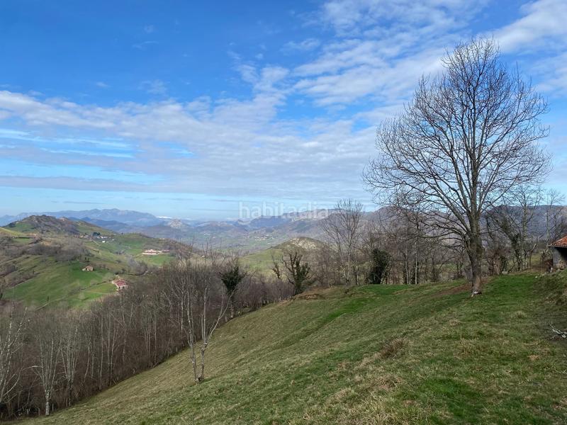 Foto 95371705-ffda-408d-bd2e-79b0a8633afd. Finca rústica  con cuadra de piedra en Onís