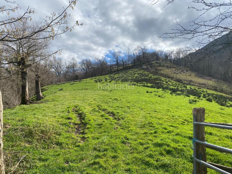 Foto d2a7cd6e-ffdc-4ae3-ac04-757cb3b61842. Finca rústica  con cuadra de piedra en Onís