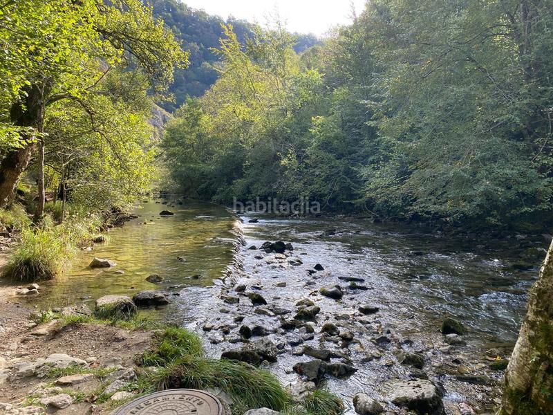 Foto 3ff1bf67-254f-47cb-8c7e-1669ba922a3d. Haus in Cangas de Onís
