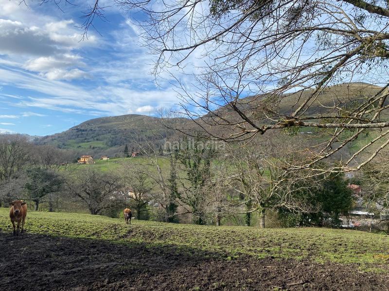 Foto 454cd1d7-e00c-4368-b7e3-e42cd836f05e. Finca rústica venta de finca rústica con cuadra en Piloña