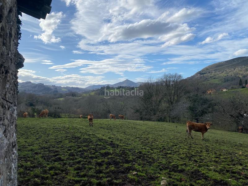 Foto 8d848b45-4fec-4e7a-badb-6765e3fd62e7. Finca rústica venta de finca rústica con cuadra en Piloña