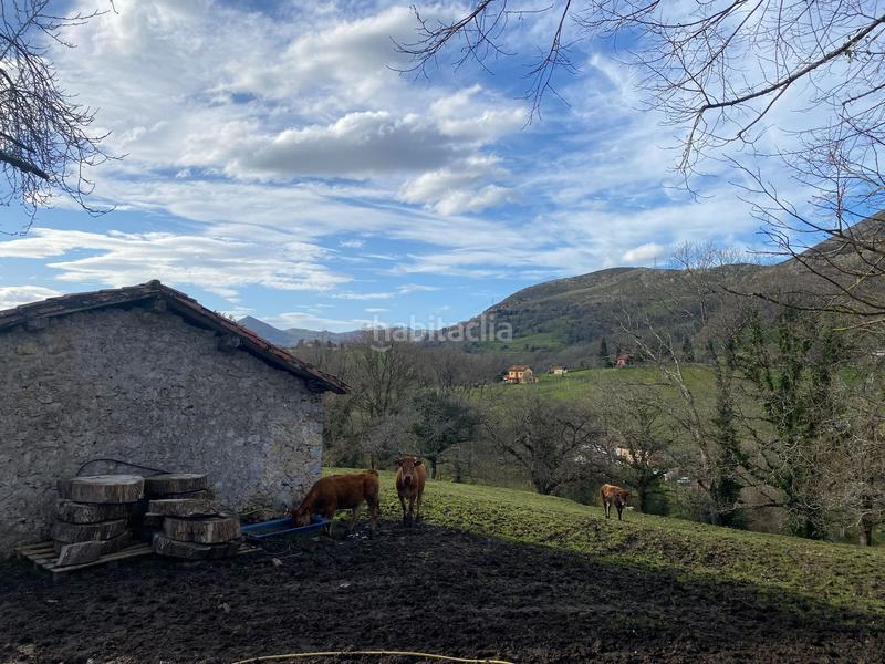Foto 95f935a4-9c8d-4c94-ba76-7a6d860674a0. Finca rústica venta de finca rústica con cuadra en Piloña