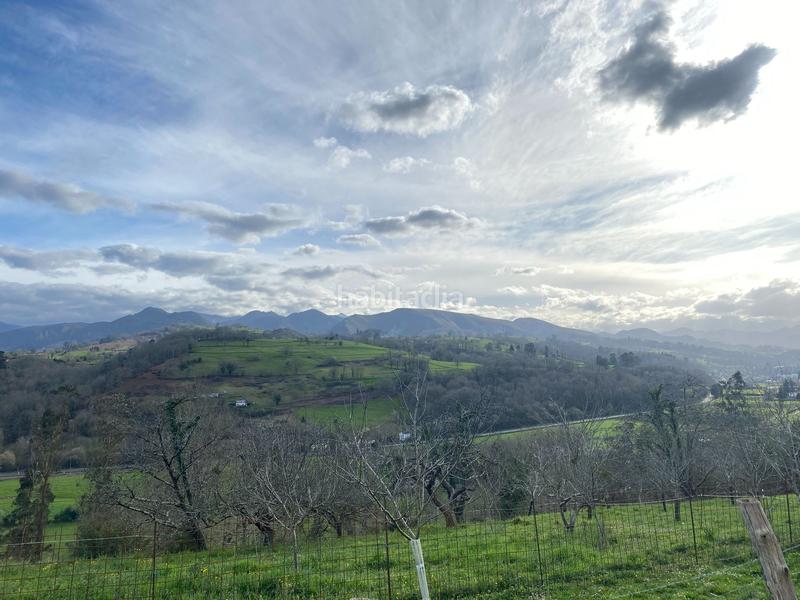 Foto 977f6b4c-bf75-4c17-aadc-0da4eaf05807. Finca rústica venta de finca rústica con cuadra en Piloña