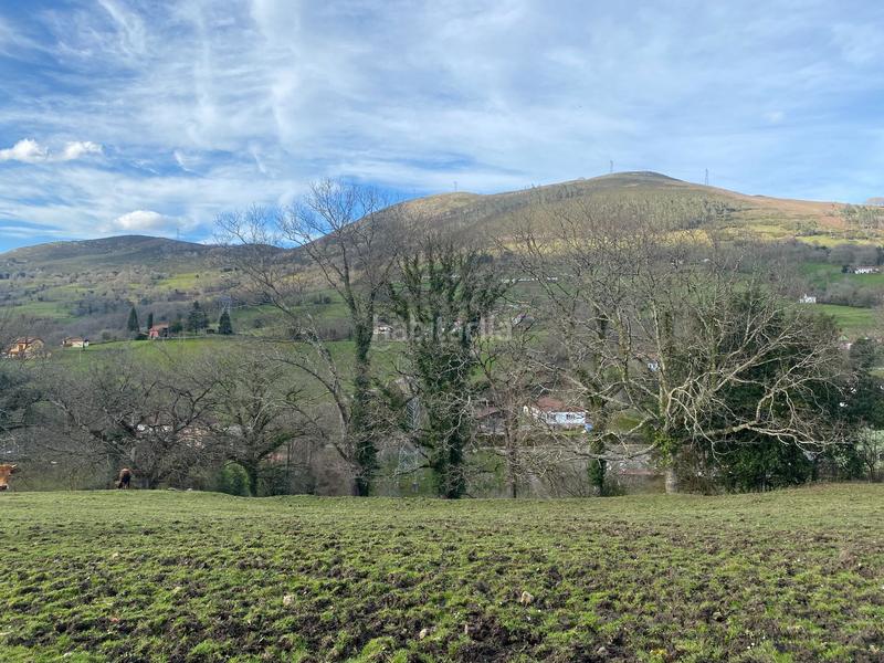 Foto 9f65ee2e-65c2-4b54-941b-cf3cbe00e05b. Finca rústica venta de finca rústica con cuadra en Piloña