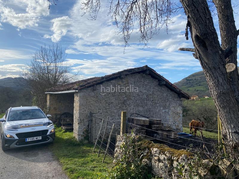 Foto d2d0c3e5-4157-49cb-99f1-8f12d9d25e32. Finca rústica venta de finca rústica con cuadra en Piloña