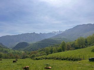 Terreny residencial a Cabrales. Finca edificable con vistas a picos de europa