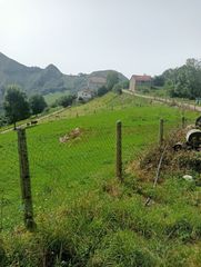 Terreny residencial a Cangas de Onís. Parcela edificable en gamoneu de 3639m2