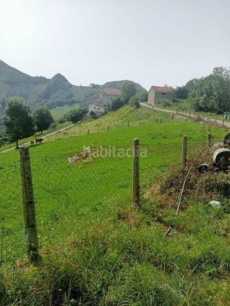 Foto 2f1439d9-64ba-4d6e-a762-8c6356656b57. Terreno residencial parcela edificable en gamoneu de 3639m2 en Cangas de Onís