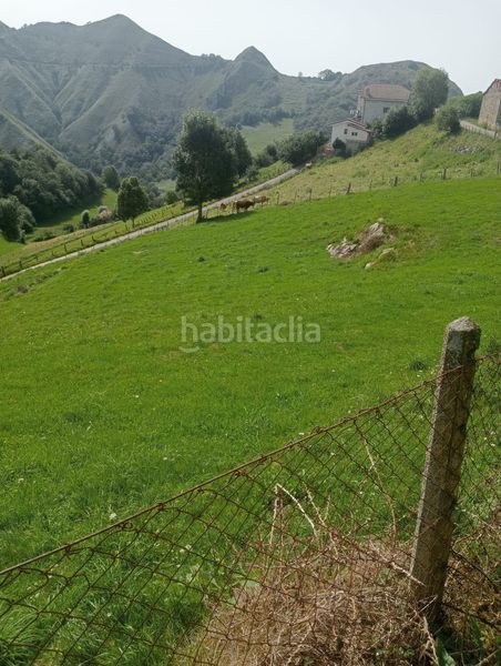 Foto 6e3f5362-2627-4800-b129-0397b1e33d72. Terreno residencial parcela edificable en gamoneu de 3639m2 en Cangas de Onís