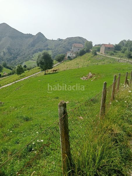 Foto bc0ad1fa-fe8b-44a0-802d-6a3e2a805fd3. Terreno residencial parcela edificable en gamoneu de 3639m2 en Cangas de Onís