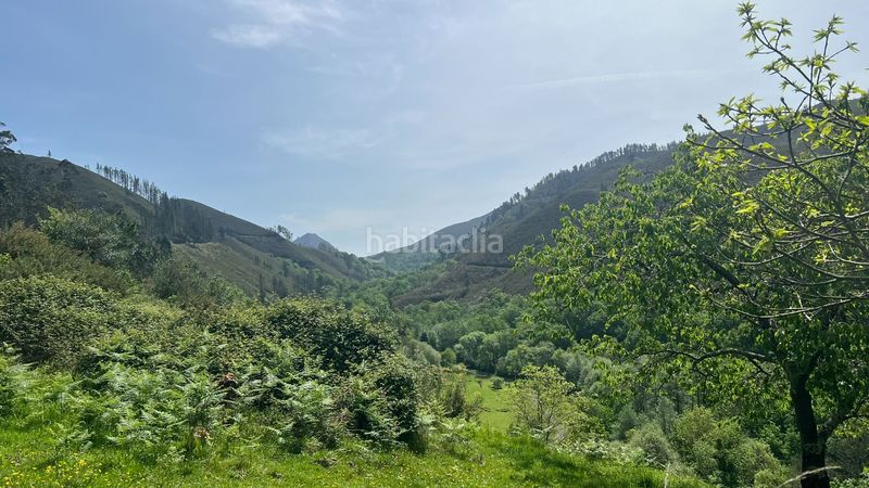 Foto 1b11e584-d532-450d-8d87-6035cb2239a2. Casa a Cangas de Onís