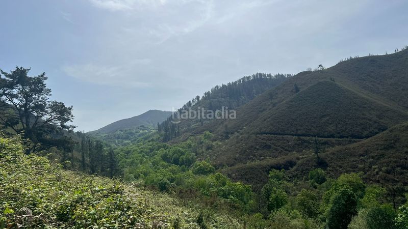 Foto 771b61fe-2980-418e-9594-9c3bfd3ab655. Casa a Cangas de Onís