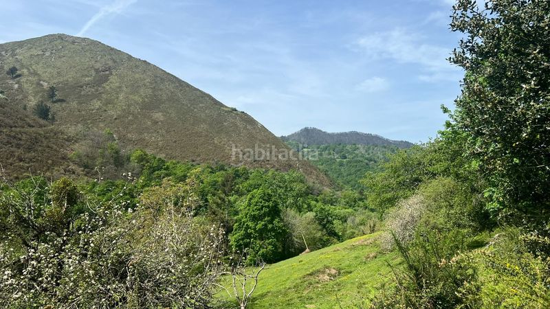 Foto a1fb0550-3893-496a-bd6d-7ba27ef054cd. Casa a Cangas de Onís