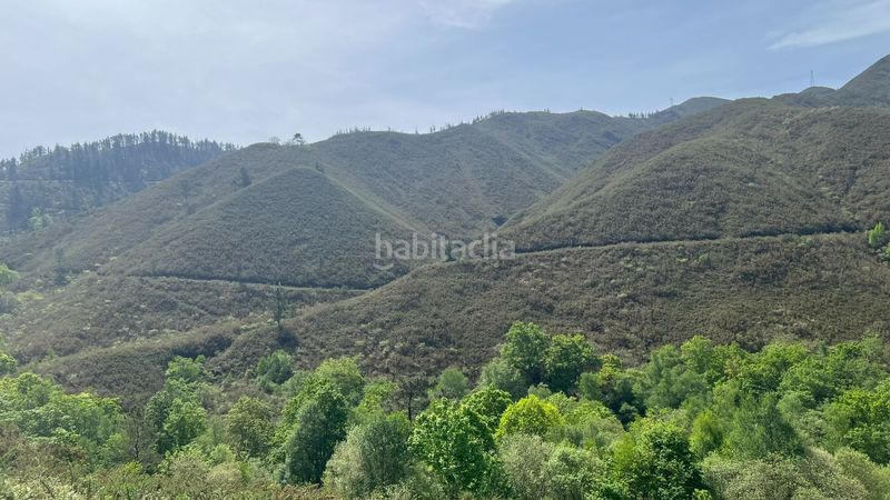 Foto e86a247a-ae1e-43a8-994e-f5907f873145. Casa a Cangas de Onís