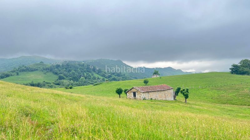 Foto 6835d622-f090-4205-a1cc-599e3f3c14c5. Finca rústica a Onís