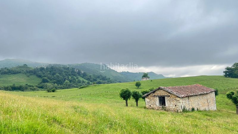 Foto fe451588-c16a-46ab-8865-06336c371be4. Finca rústica a Onís