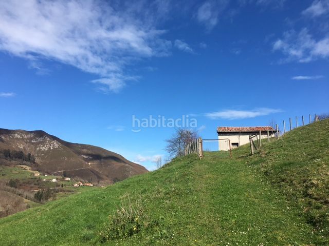 Foto 4150d2a9-33aa-43d1-b913-81f567d97bc2. Finca rústica a Parres
