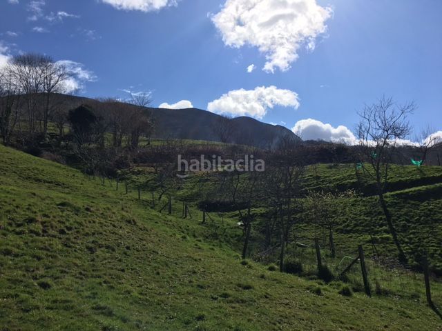 Foto 6ddf581c-8ff7-4dff-97b3-d719de2f0950. Finca rústica a Parres