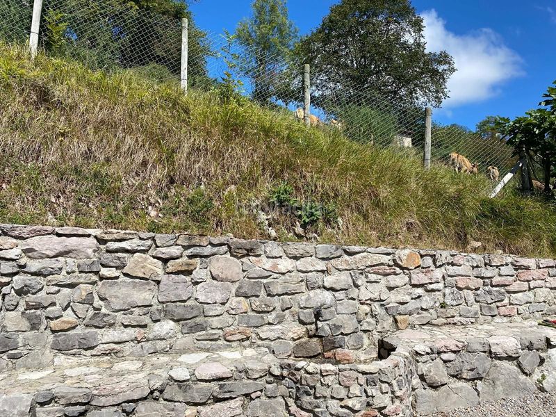 Foto 84f28262-84e5-4b04-a4a9-d0aa81337ab7. Finca rústica a Cangas de Onís