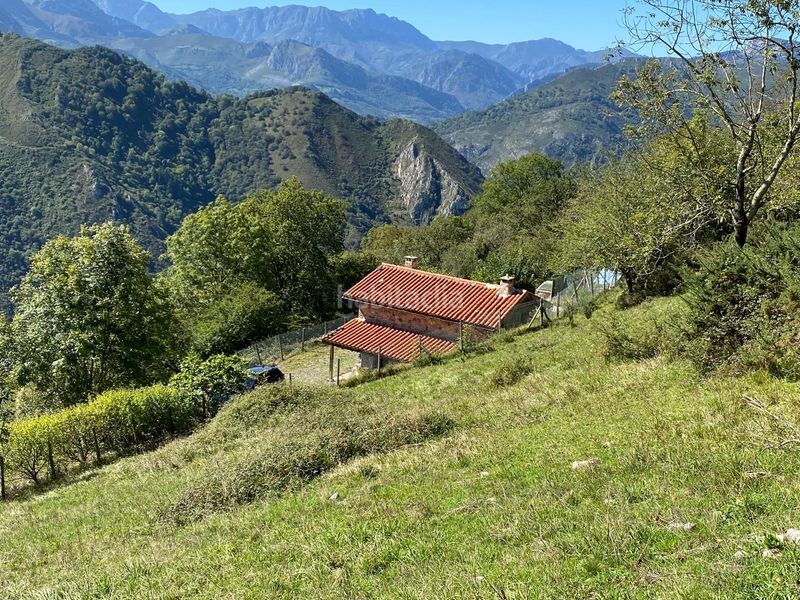 Foto dbcd928d-e76c-4a6d-a8e6-9c4ab5967c39. Finca rústica a Cangas de Onís