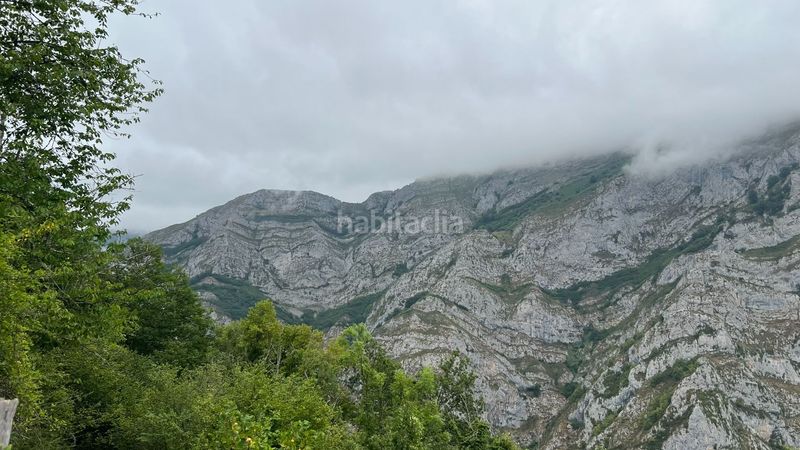 Foto dd2bebc4-e0ff-4e80-aee4-e9ded0cd6733. Casa a Ponga