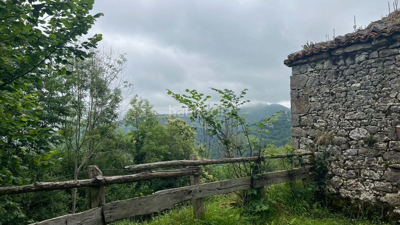 Foto e6bf0ee0-c2f6-40fa-b719-93c1eb79e7f2. Finca rústica a Onís