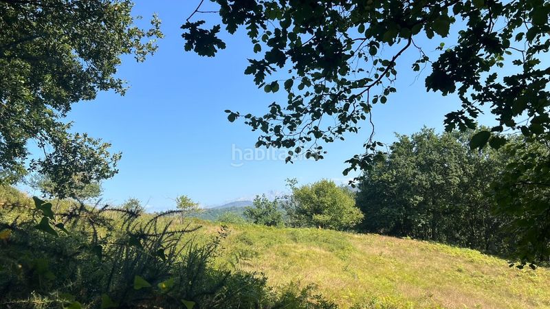 Foto 504a2300-88ca-4213-906c-c68224da38c9. Finca rústica a Parres