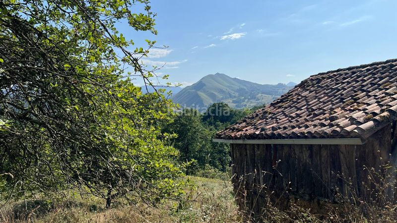 Foto 6f6f99ab-b29f-40c0-8398-ed91173d261f. Finca rústica a Parres