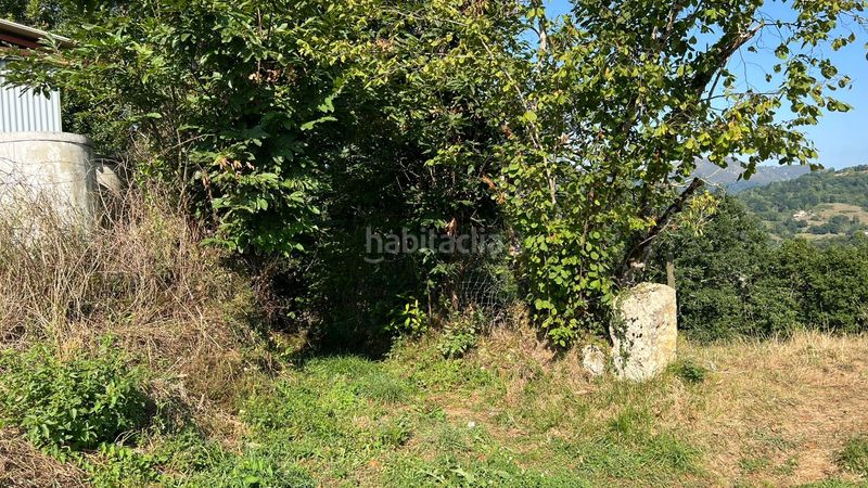 Foto 990b16d2-ab0e-4971-bb1d-5c39dee68966. Finca rústica a Parres
