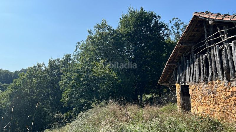 Foto a774d437-4523-447c-92fc-4800fc088ee1. Finca rústica a Parres
