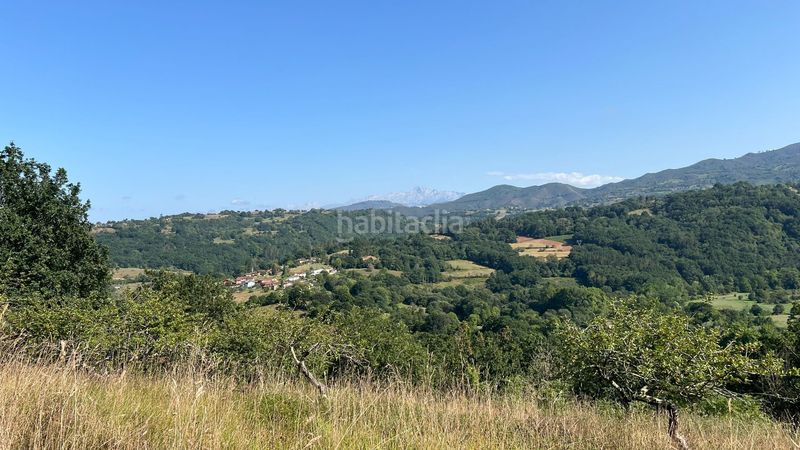Foto d4bfc675-2497-4e5b-8bf2-951525dcbba5. Finca rústica a Parres