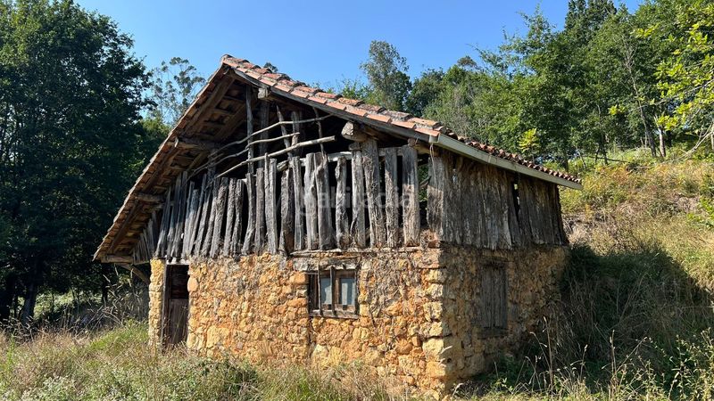 Foto d72d69d0-5a33-47d8-9c43-865a5bfe26e8. Finca rústica a Parres