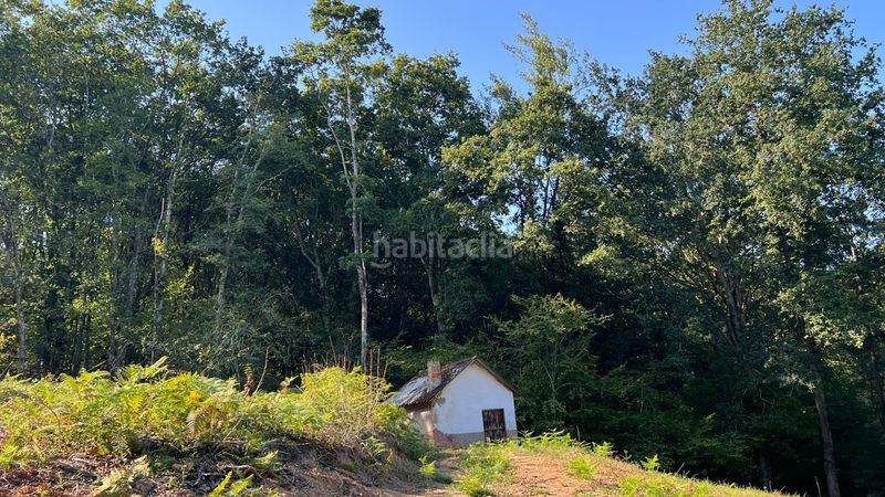 Foto 60efb119-028d-49cd-afe2-deee14069ffc. Finca rústica a Parres
