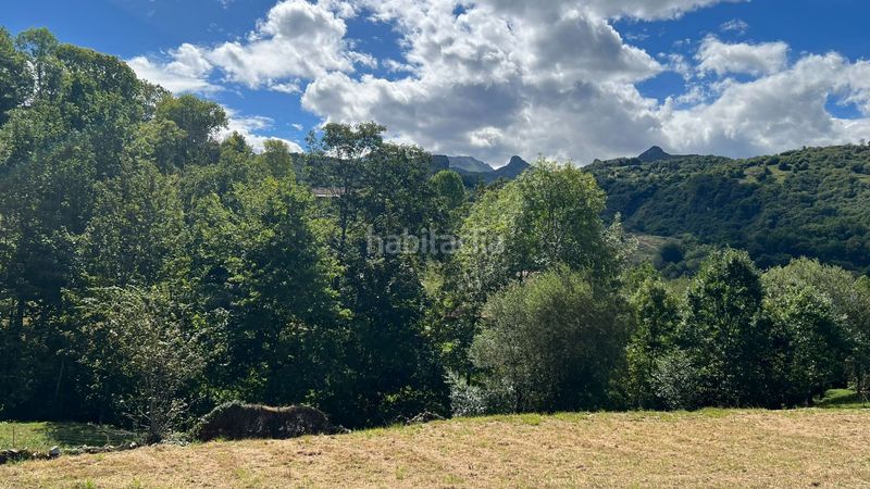 Foto f6a56b58-719a-4279-8ce3-1ebad0b39de0. Terreny residencial a Onís