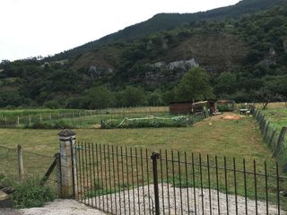 Finca rústica  Dego. Finca rústica cerca de cangas de onis