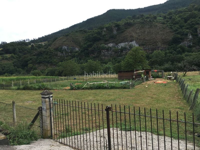 Foto 515154d1-24a9-4a21-989c-f4dadd9fa735. Finca rústica a Parres