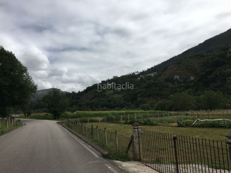 Foto ea14c009-6a86-420c-9546-82581012a623. Finca rústica a Parres